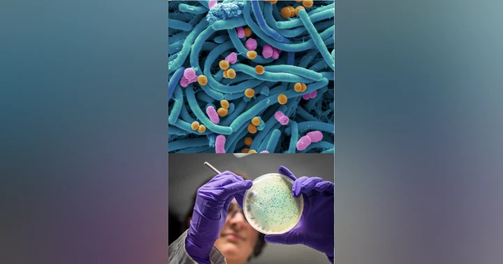 image for Rebooting the Biome with authors, Dr. Doris Day M.D. and Thomas M. Hitchcock, Ph.D
