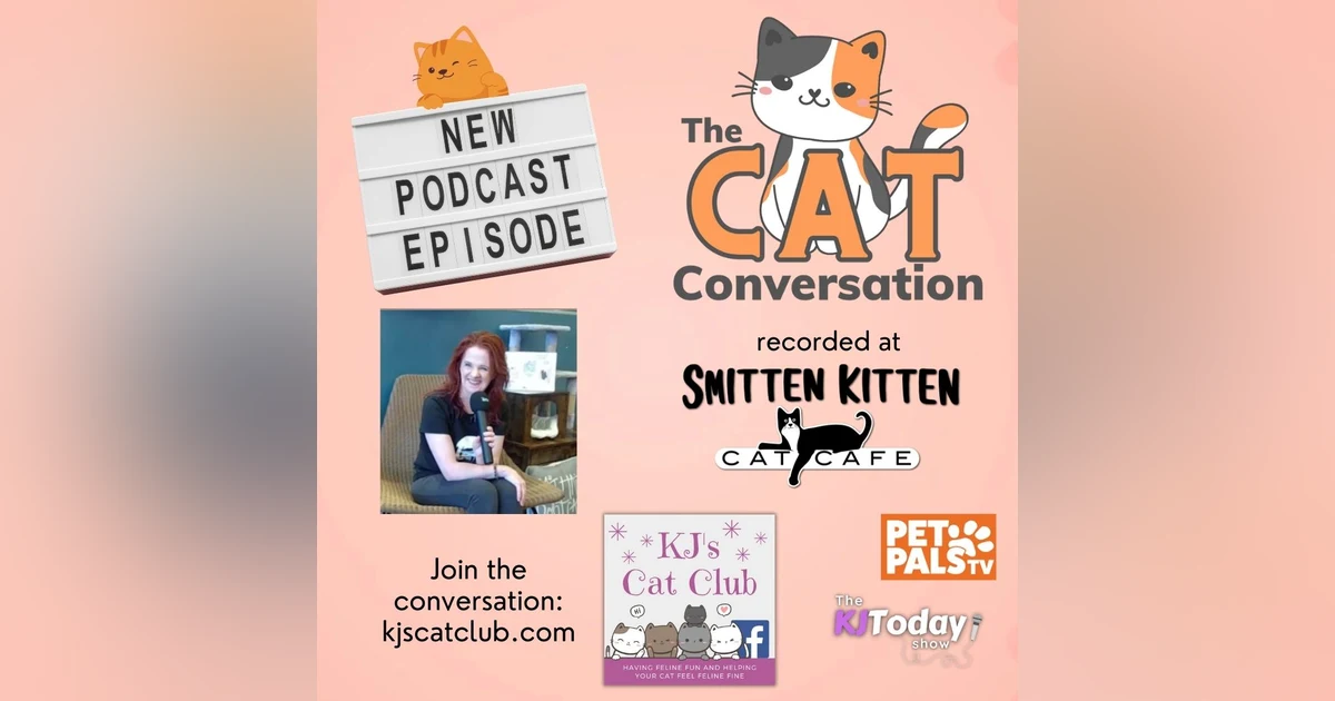 Safe Cat, Happy Cat: The Cat Conversation at Smitten Kitten Cat Cafe