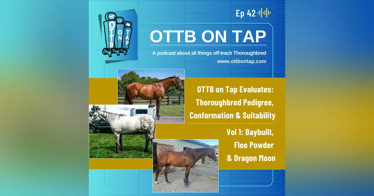 Ep 42: OTTB on Tap Evaluates Thoroughbred Pedigree, Conformation & Suitability Vol 1: Baybuilt, Floo Powder & Dragon Moon