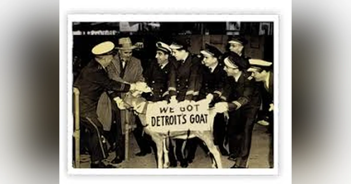 BEST OF (#47 OF 503)  THE CURSE OF THE BILLY GOAT