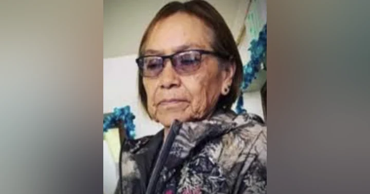 image for CASE UPDATE: Re: Ella Mae Begay's Disappearance in Arizona (2021)