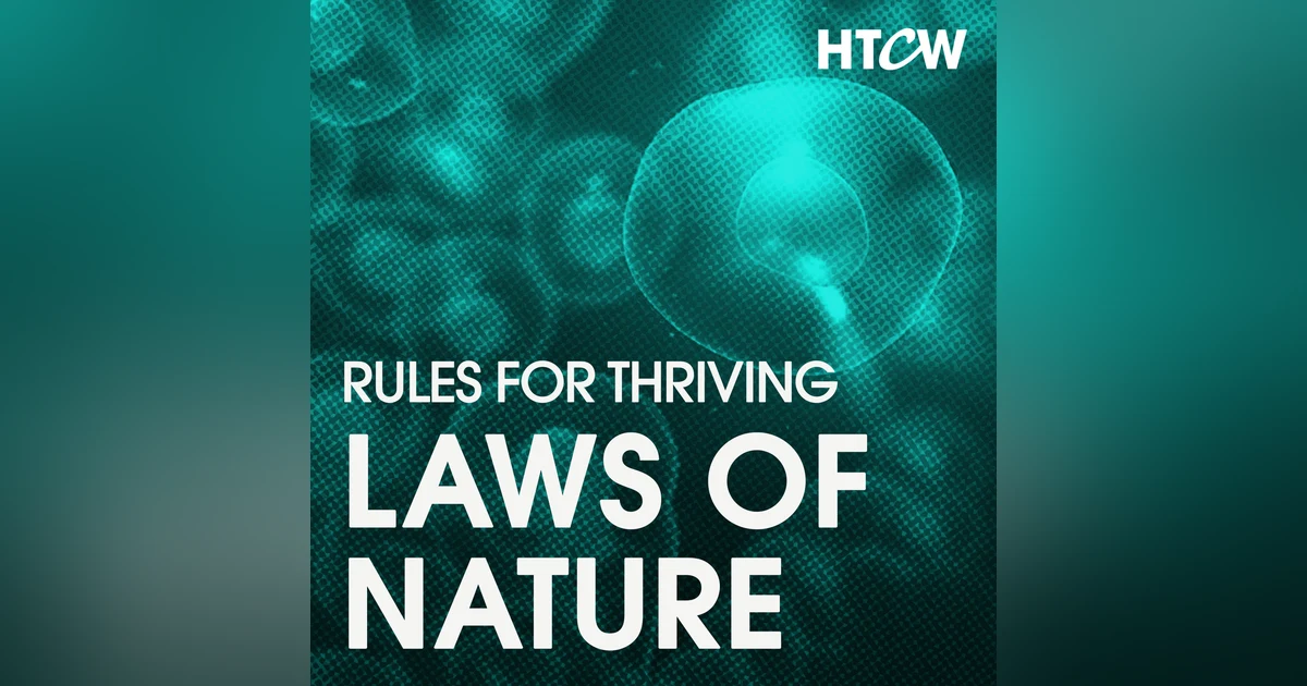 The Laws of Nature: 3 Rules Governing the Success of Any Organism, Idea & Technology