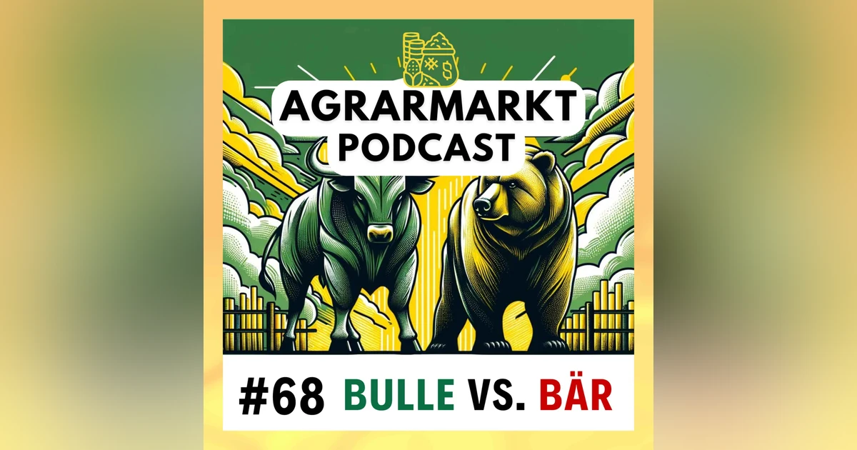 Bulle gegen Bär - Wohin gehen die Märkte?