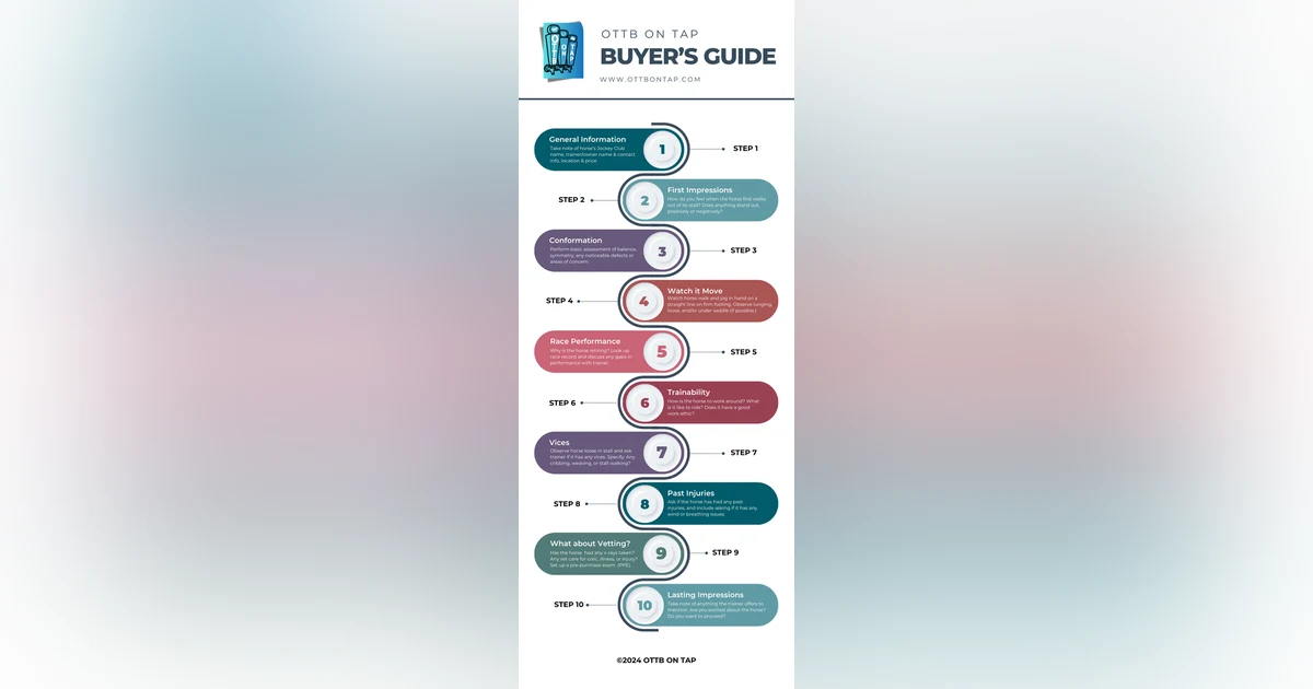 Ep. 3 OTTB on Tap Buyer's Guide