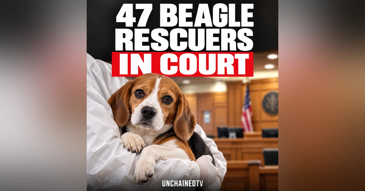 They Freed the Beagles. Now They're Fighting for Their Own Freedom.