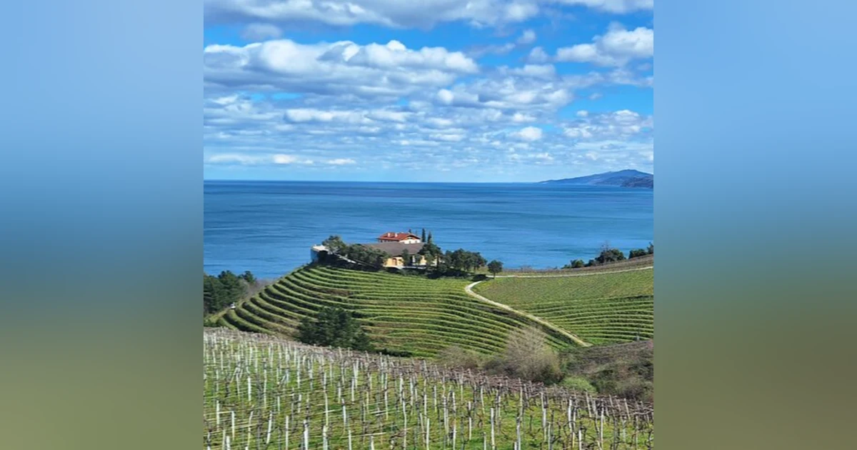 Basque-ing In The Glow: Part 2 - with Diana Delgado Cornejo