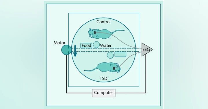 image for Sleep in the ICU: The Classic Experiments