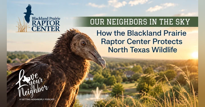 image for Nature in Your Backyard: Simple Ways to Support Local Raptors and Wildlife