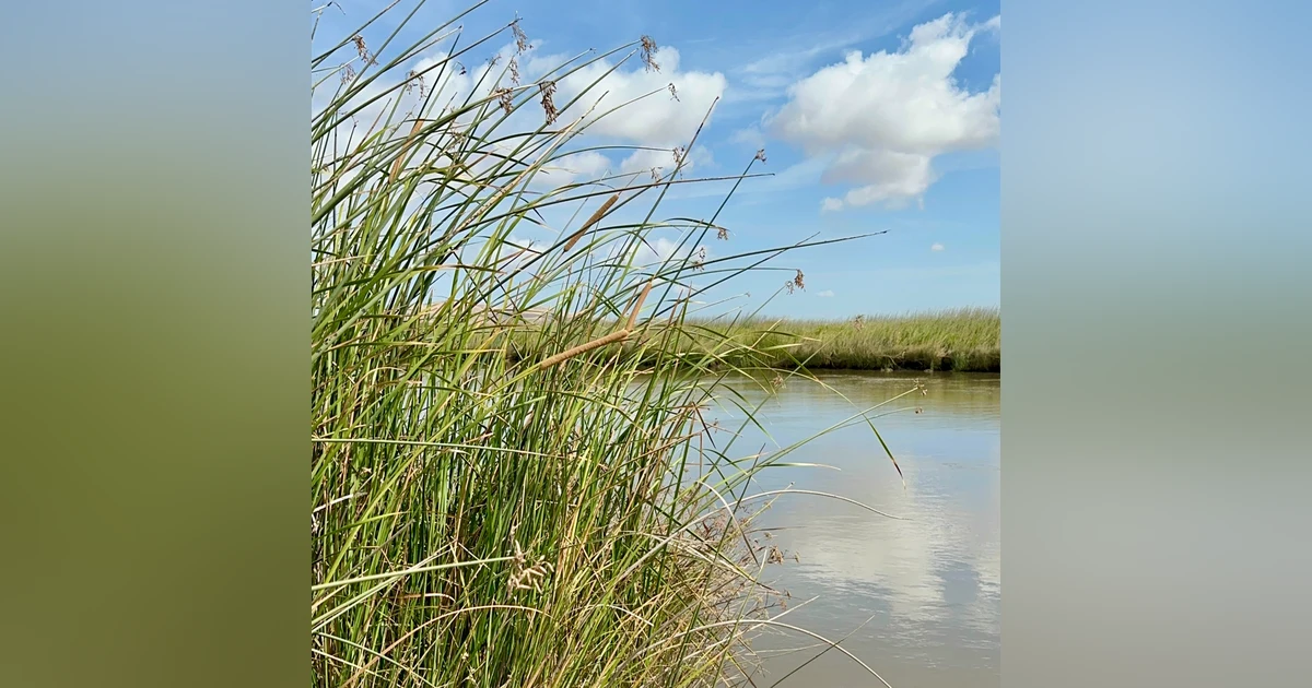 [Greatest Hits] Central Valley Water and Wetlands with Ellen Wehr