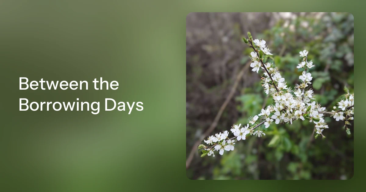 Between the Borrowing Days
