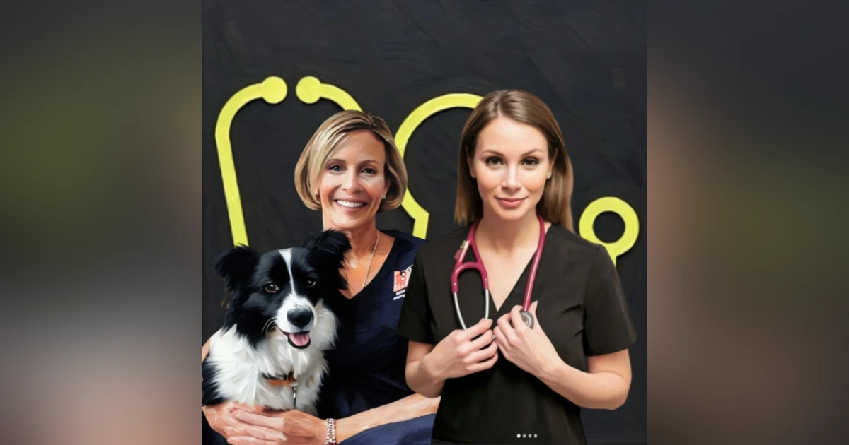 #130: The Joyful Emergency Vet: Essential Strategies For A Long And Happy Career In Emergency Veterinary Practice. With Dr Brooke Schampers and Dr Taleta Hompas