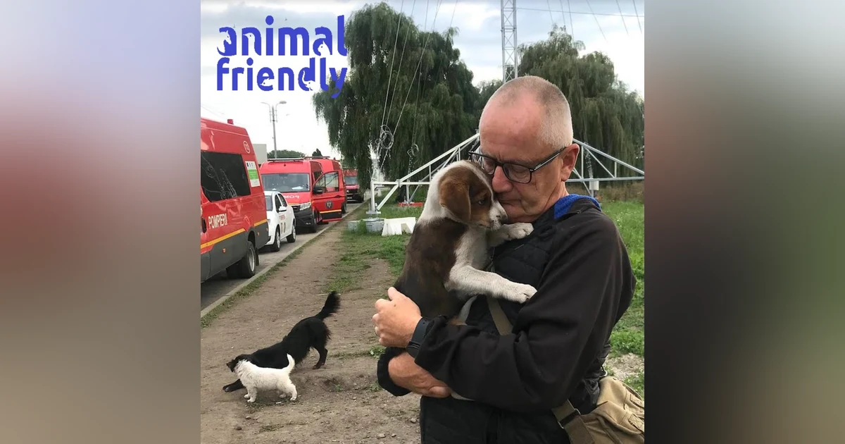 17. Protect Animals, Protect People