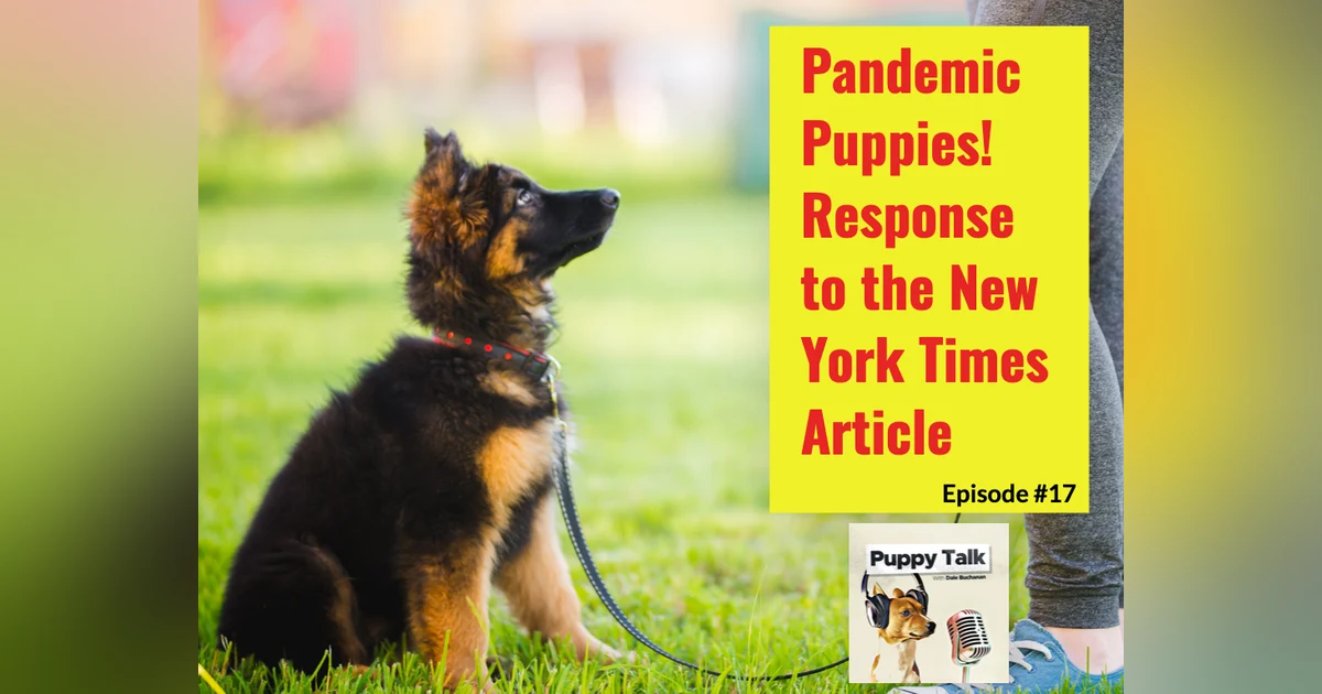 Pandemic Puppies - Response to the New York Times Article