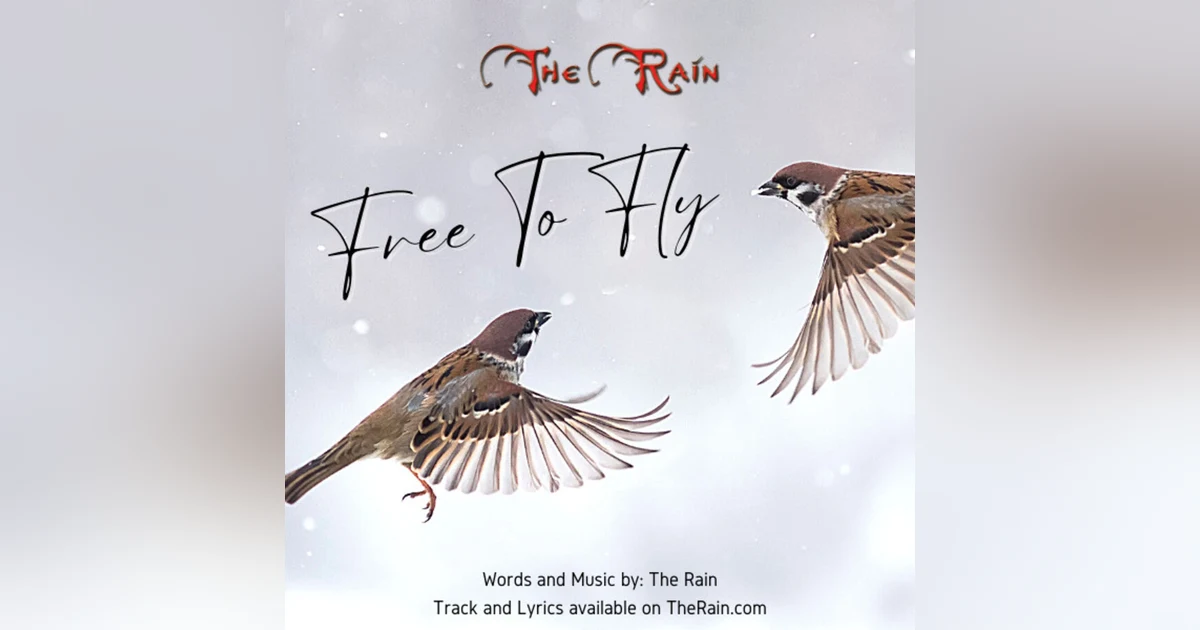 Free To Fly