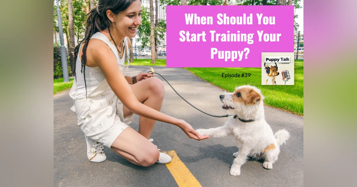 When Should You Start Training Your Puppy?