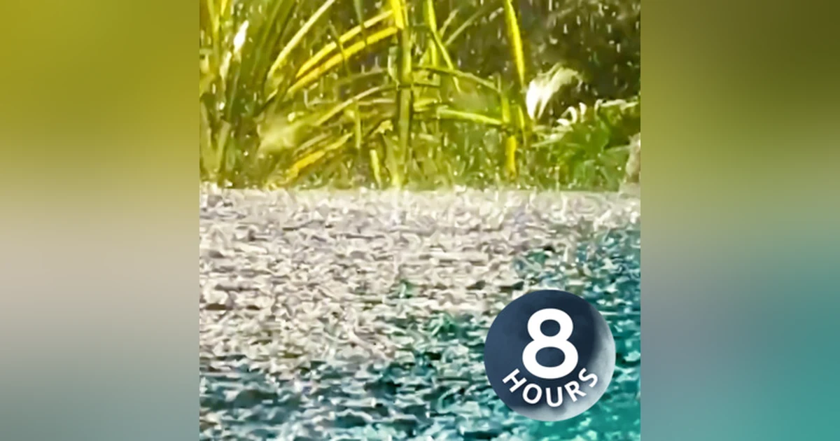 Thunder Sounds with Rain on Pond 8 Hours | Sleep, Study or Focus with Rainstorm White Noise