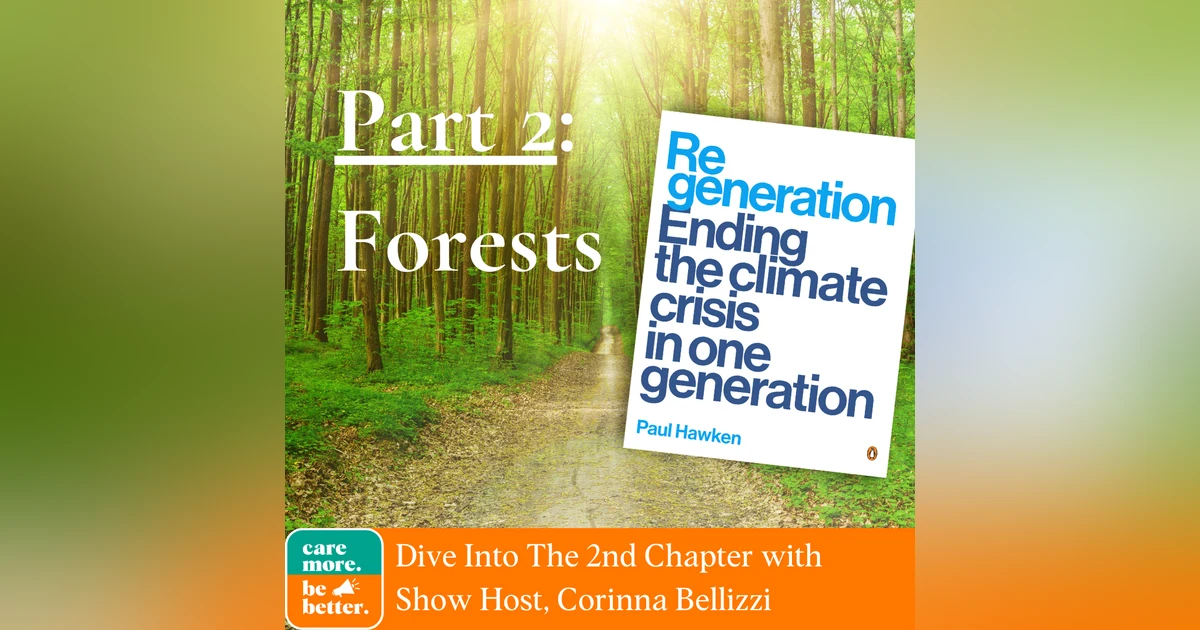 Regeneration Part 2: Forests And Their Role In Climate Change