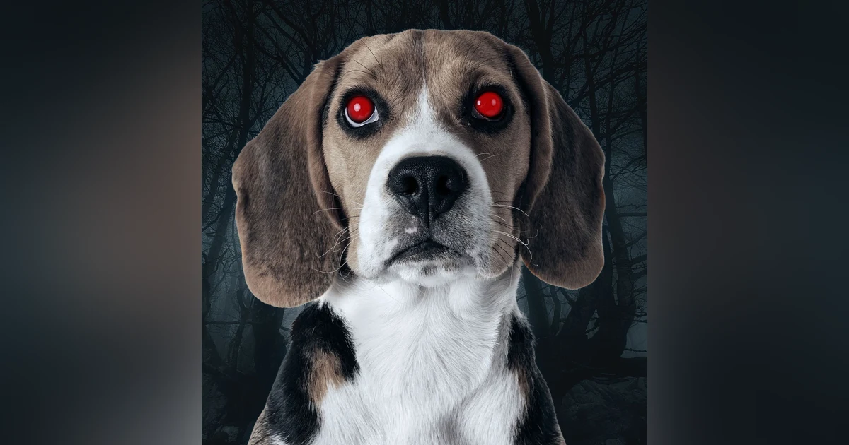Ep.181 – I Know Who You Are - What Lurks in the Woods?!