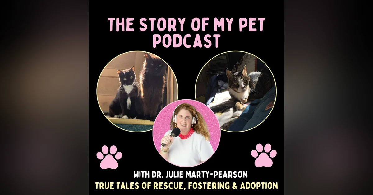 Cats Kept Him Going: How David Maeda's Cats Shaped His Story