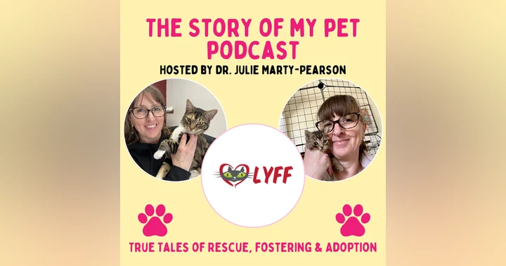 image for Beyond Fostering: Creative Ways You Can Help Cat Rescues