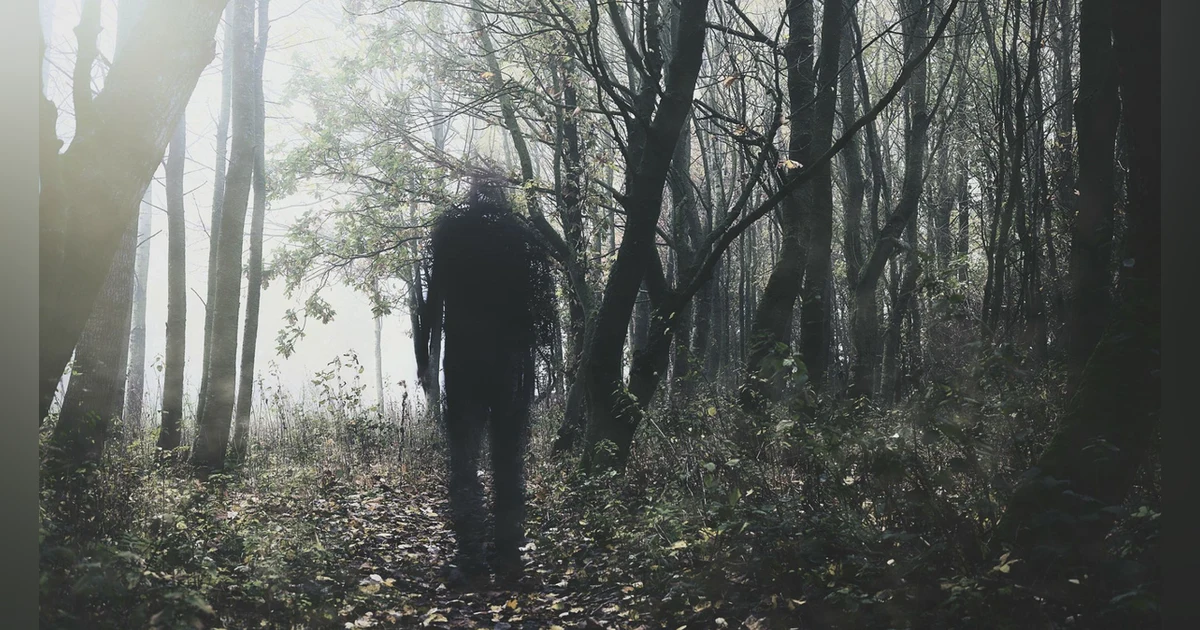 Watched in the Woods