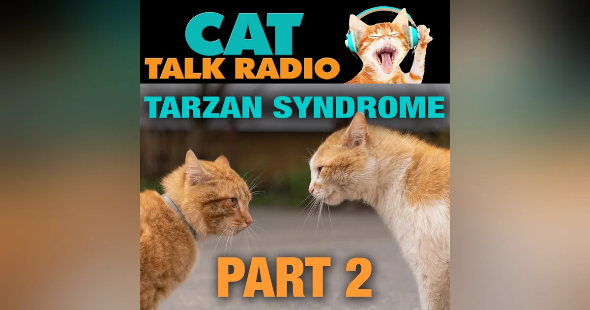 Tarzan Syndrome: Part 2 — Social Rehab That Works