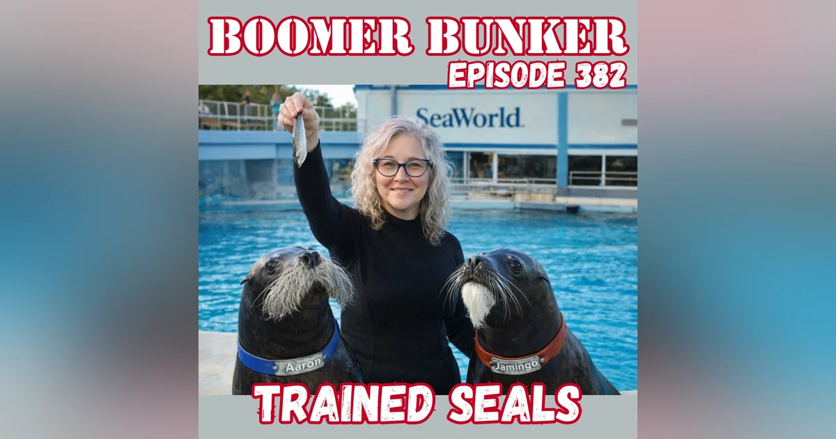 Trained Seals | 382