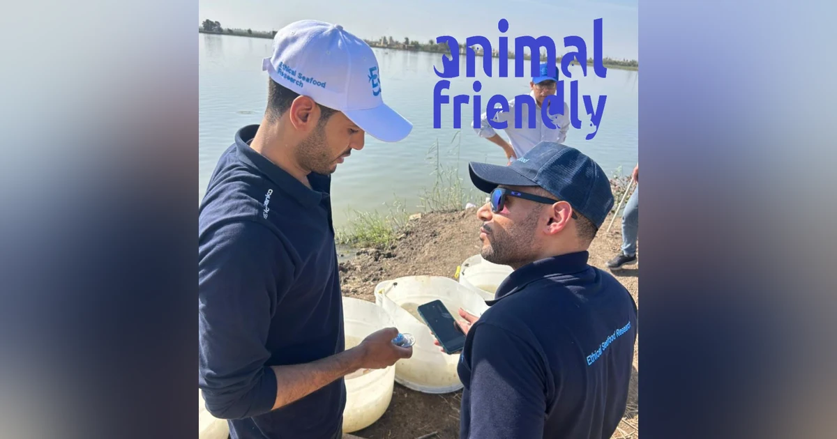 32. Ethical Seafood Research