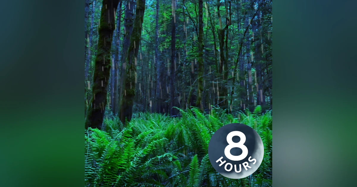 Nighttime Rain Sounds in Rainforest | 8-Hour Storm Sleep Noise