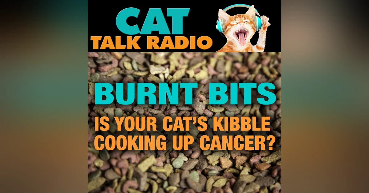 Burnt Bits: Is Your Cat's Kibble Cooking Up Cancer?