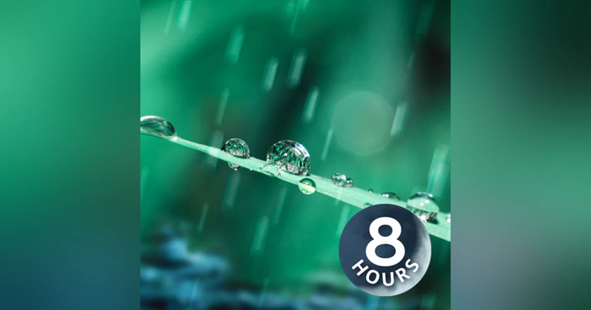 Spring Rain Sounds for Sleep, Studying or Focus 8 Hours | Nature White Noise