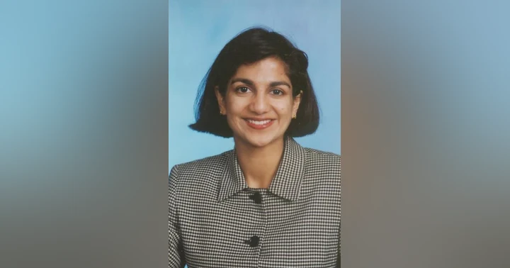 image for Vanished in the Shadow of the Towers: The Disappearance of Dr. Sneha Anne Philip