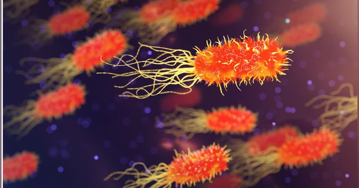 image for Know Your Sepsis