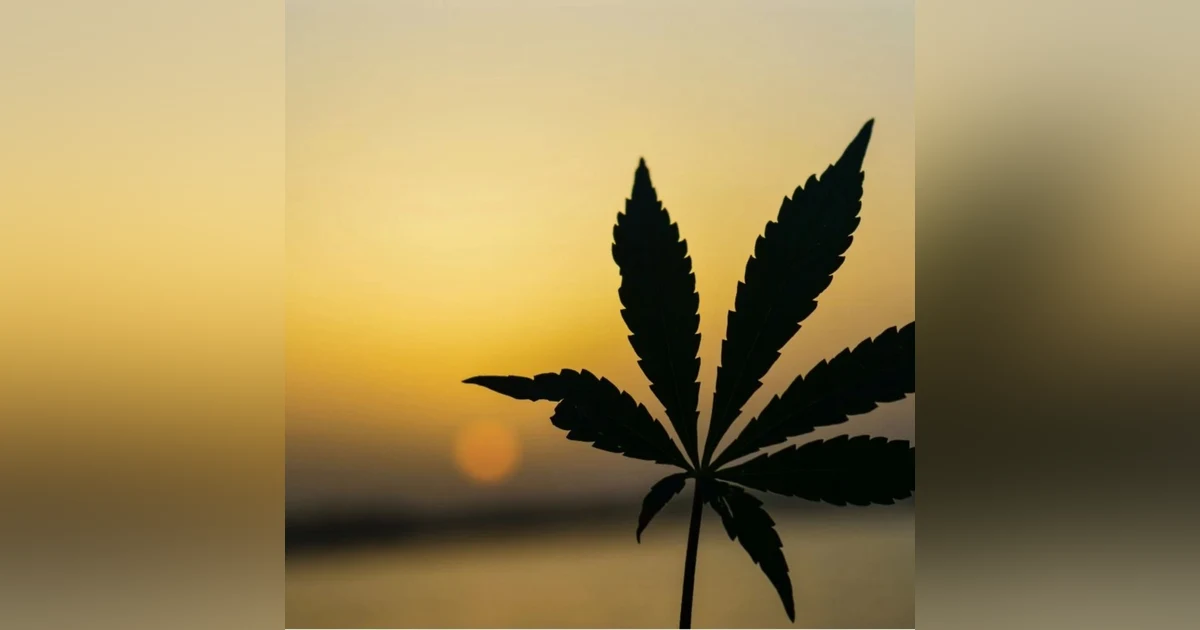 Hemp Renaissance and Conspiracies with Jordan Cook