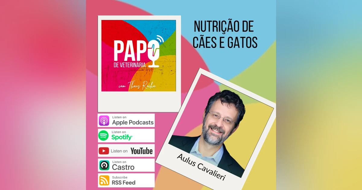 Os maiores mitos sobre a alimentação de cães e gatos