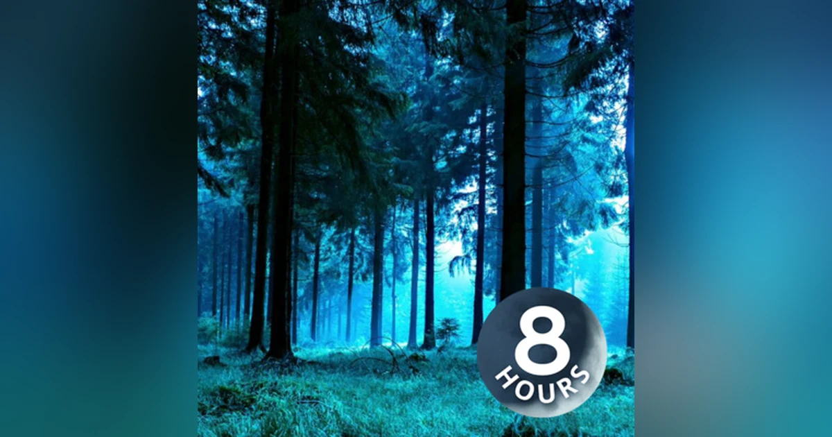 Forest Night Nature Sounds for Sleep or Studying 8 hours | White Noise