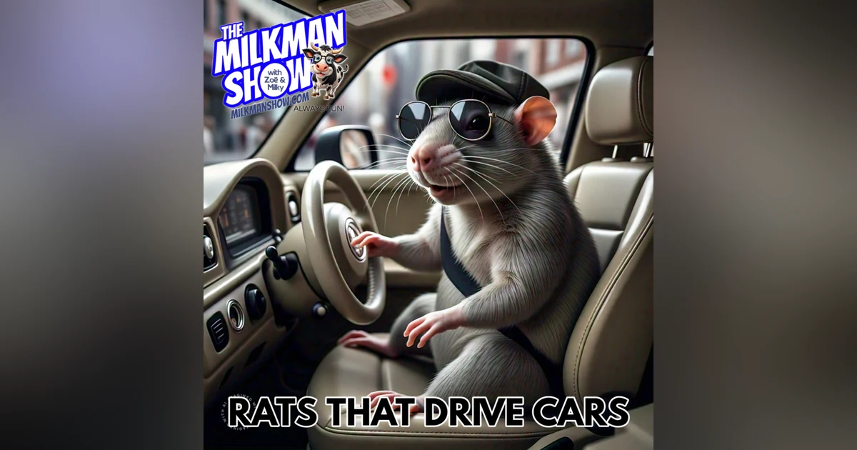 Rats Driving Cars