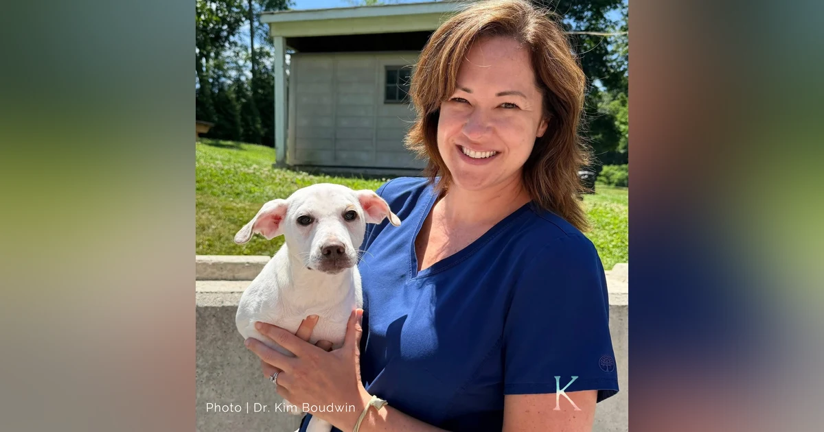Reimagining Animal Shelters | With Dr. Kim Boudwin, Providence Animal Center