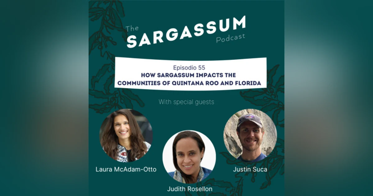 E53: How Sargassum impacts the communities of Quintana Roo and Florida with Judith Rosellon, Justin Suca and Laura McAdam-Otto