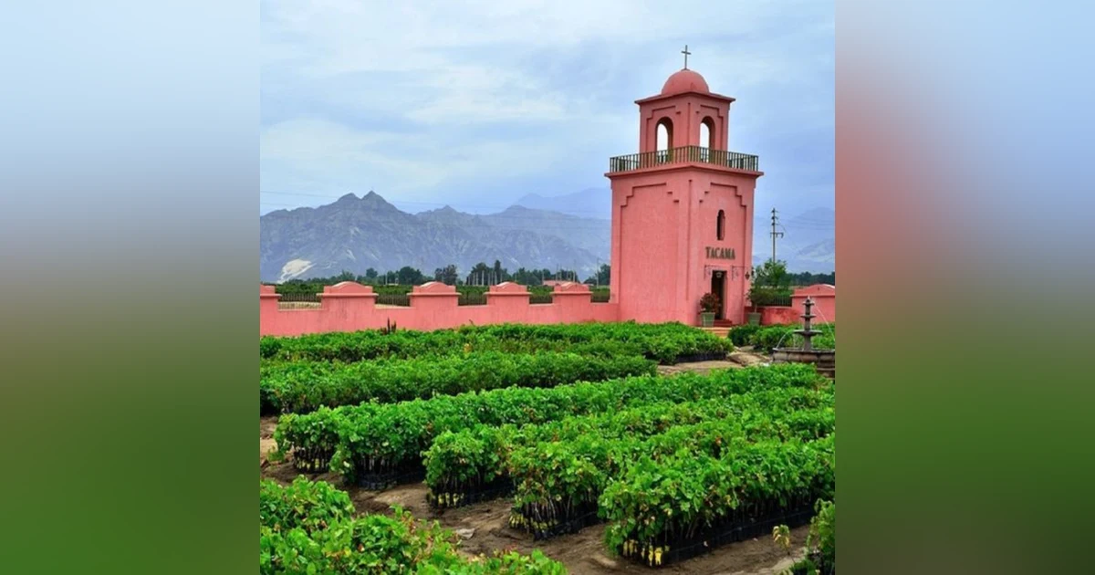 Sibling Rivalry: The Story of Pisco (Part 1) - With Diana Delgado Cornejo