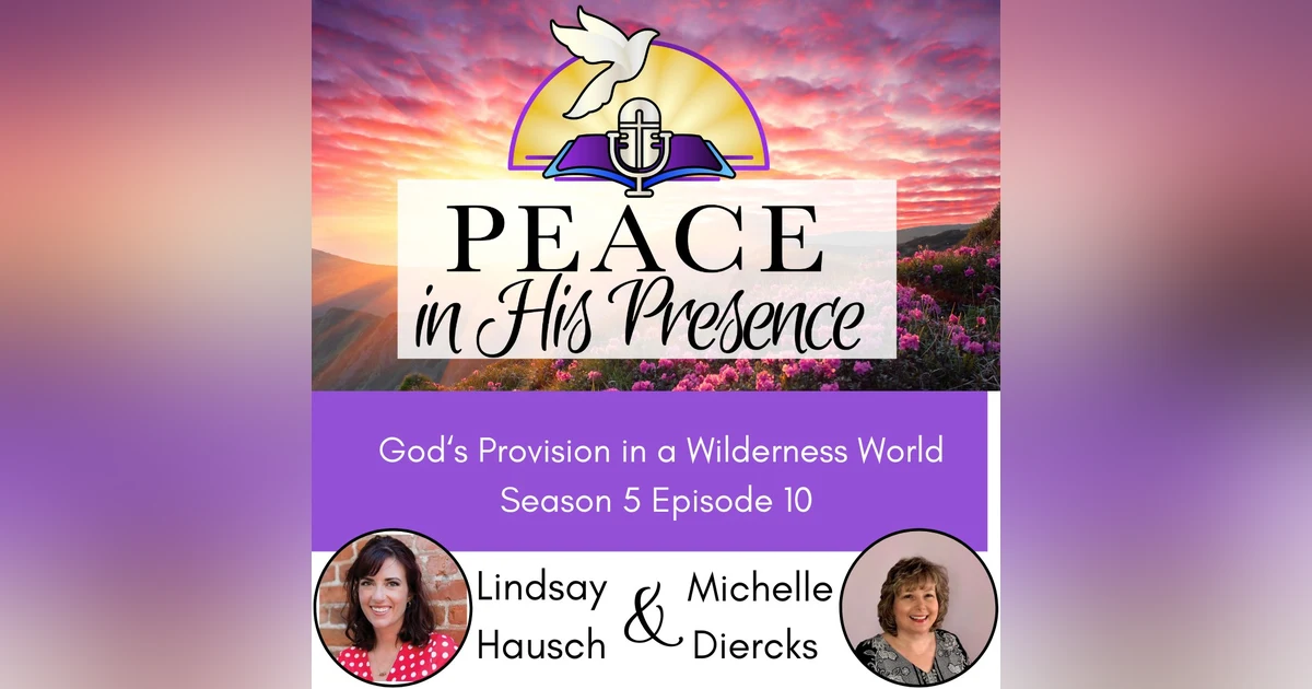 God's Provision in a Wilderness World with Lindsay Hausch