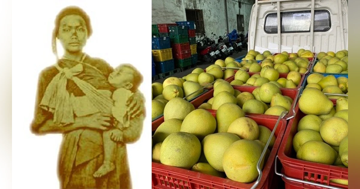 S3-E4 - Madou, Tainan 麻豆: Pomelos and Priestesses