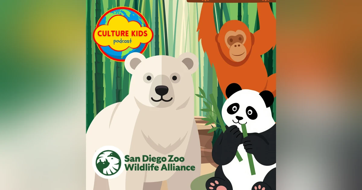 Meet Polar Bears, Pandas & Orangutans! A Wild Animal Adventure for Kids