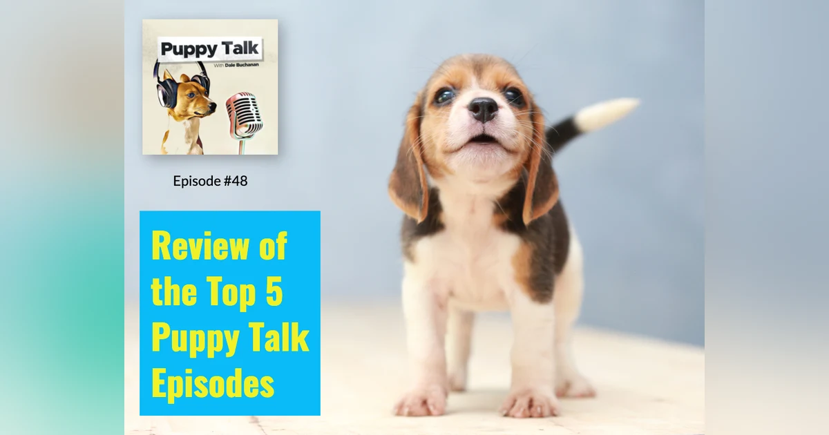 Review of the Top 5 Puppy Talk Episodes