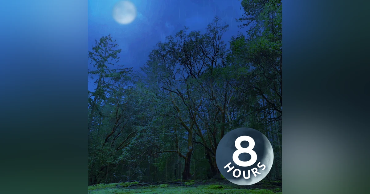 Nighttime Rain in the Woods | 8-Hour Dark Screen Sleep Ambience