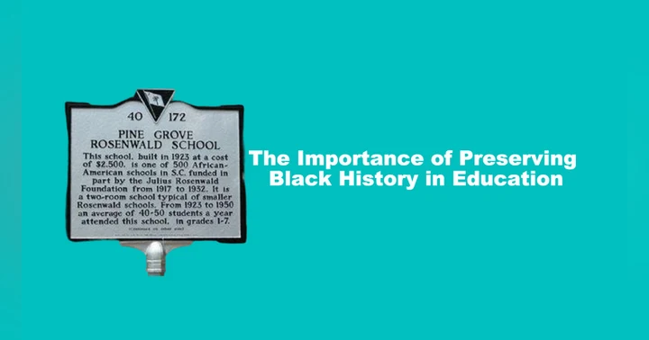 image for The Importance of Preserving Black History in Education