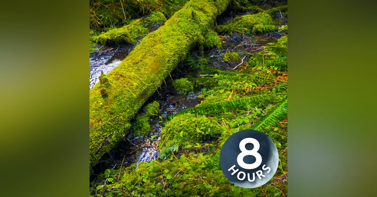 Raining Sounds for Sleeping, Studying, Focus or Relaxation featuring Water White Noise