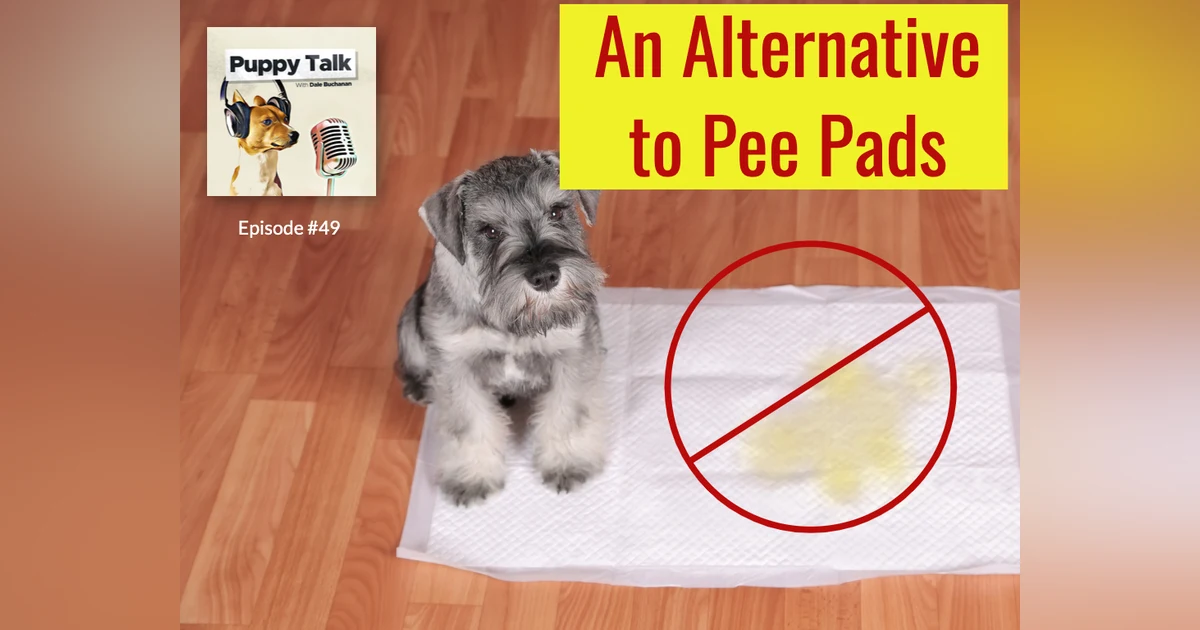 An Alternative to Pee Pads