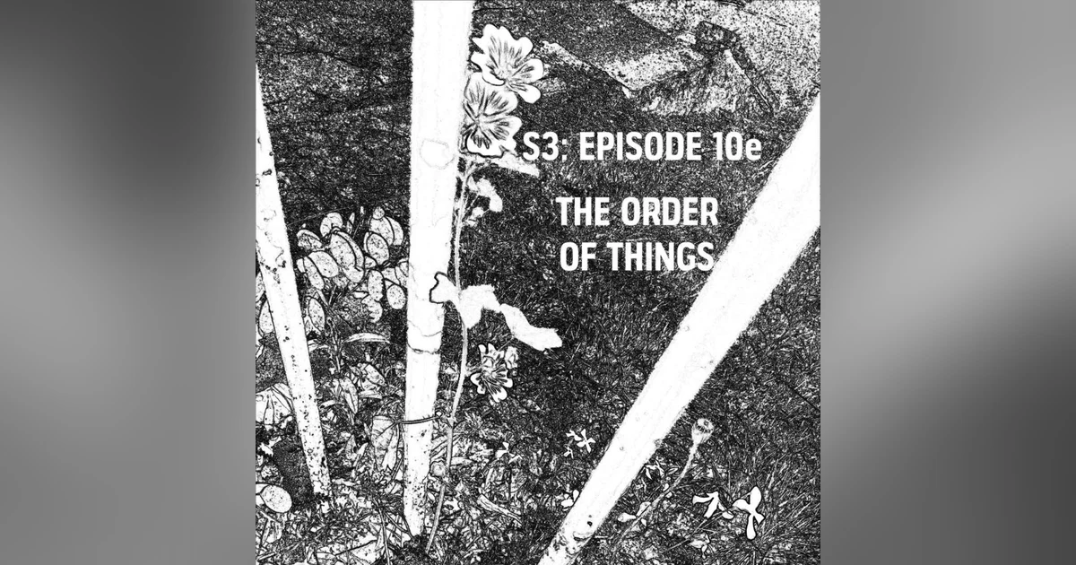 S3: E10e - The Order Of Things