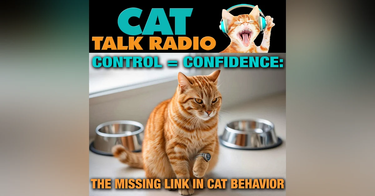 Control = Confidence: The Missing Link in Cat Behavior